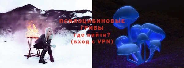 ПСИЛОЦИБИНОВЫЕ ГРИБЫ Магас