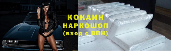 ПСИЛОЦИБИНОВЫЕ ГРИБЫ Магас