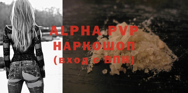 ПСИЛОЦИБИНОВЫЕ ГРИБЫ Магас