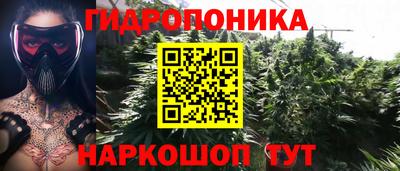 индика Бузулук