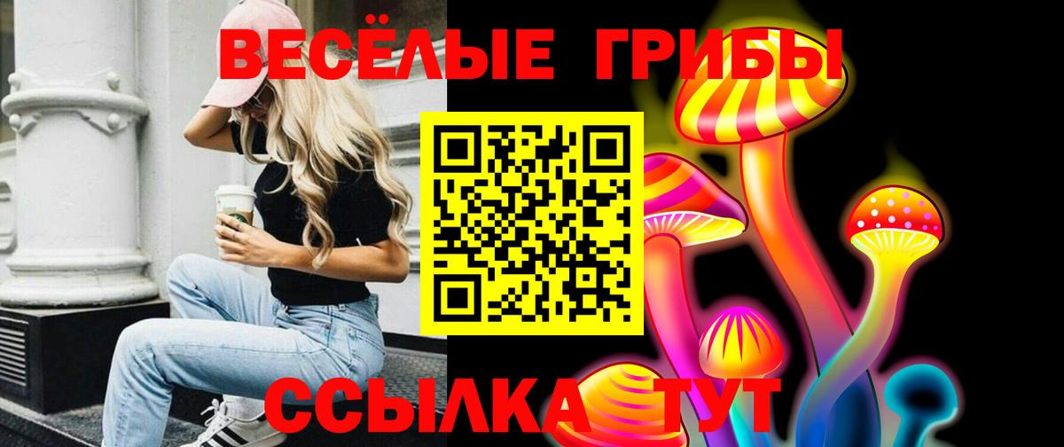 Псилоцибиновые грибы Psilocybe Донецк