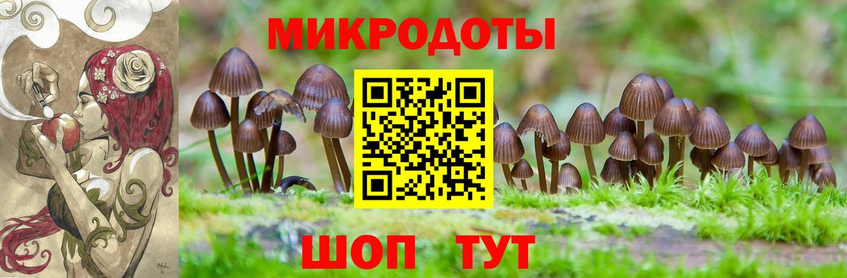 Донецк  Псилоцибиновые грибы Psilocybine cubensis  как найти наркотики  Вход с VPN 